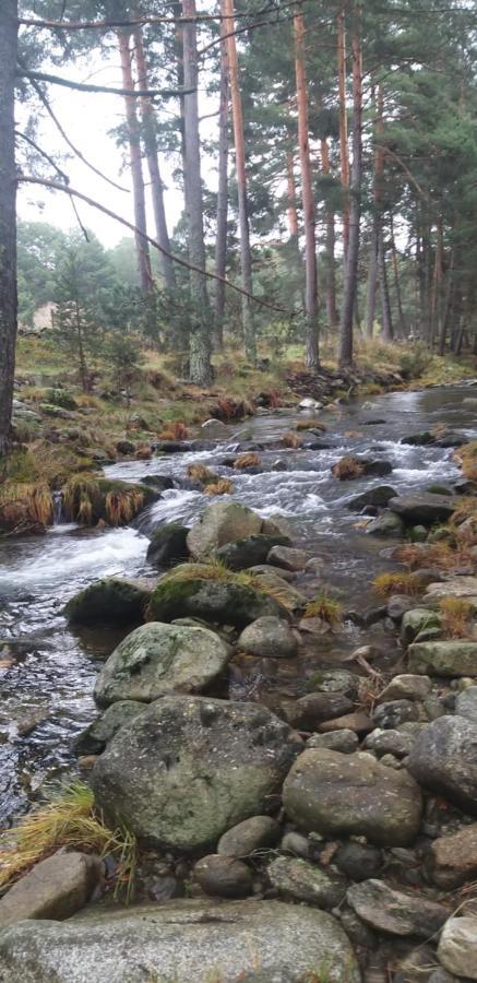 Casa Rural Los 7 Pinos De Gredos Navarredonda de Gredos Bagian luar foto